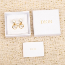 Christian Dior Earrings